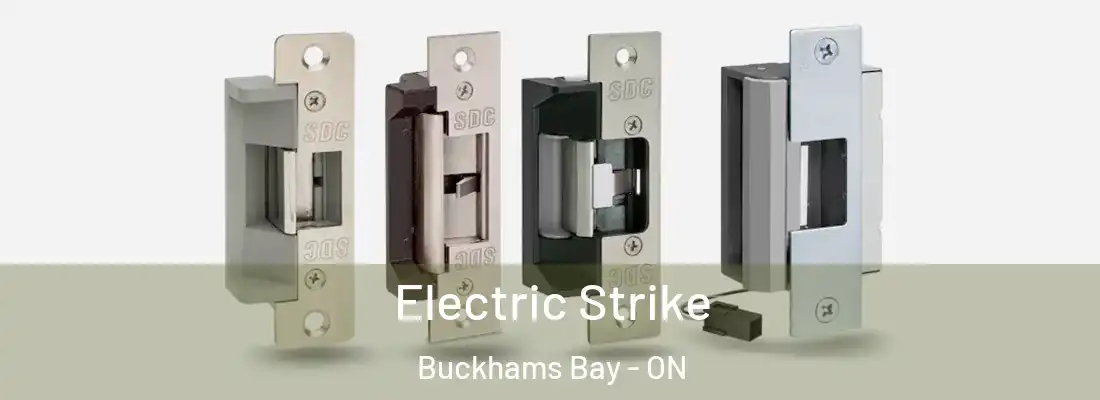  Electric Strike Buckhams Bay - ON