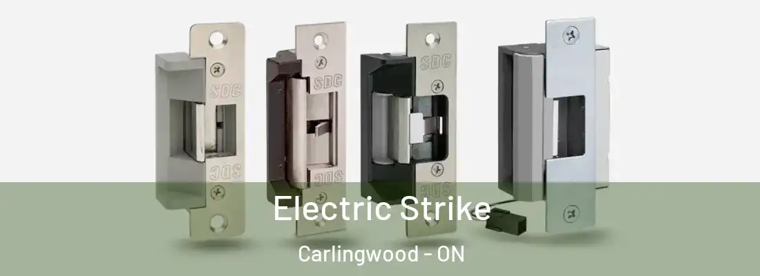  Electric Strike Carlingwood - ON