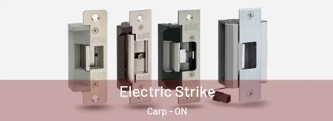  Electric Strike Carp - ON