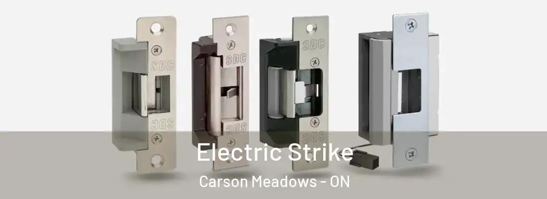  Electric Strike Carson Meadows - ON