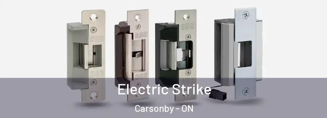  Electric Strike Carsonby - ON