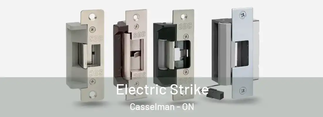  Electric Strike Casselman - ON