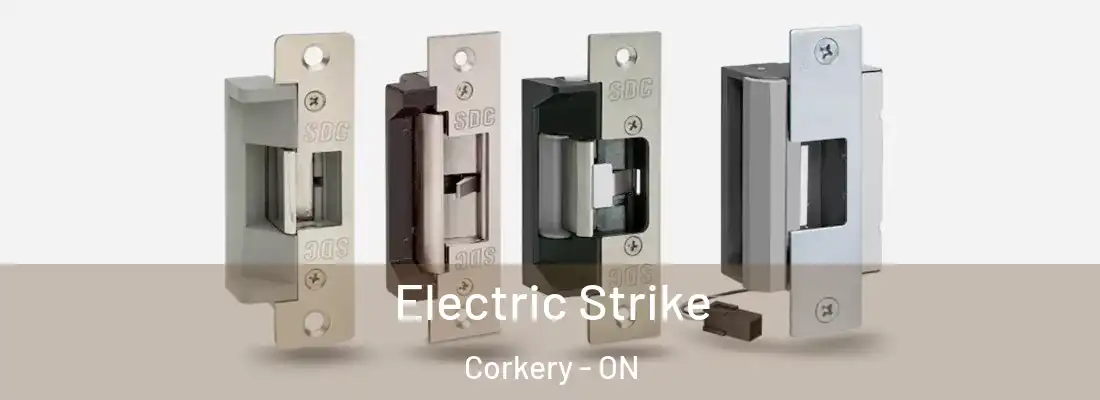  Electric Strike Corkery - ON