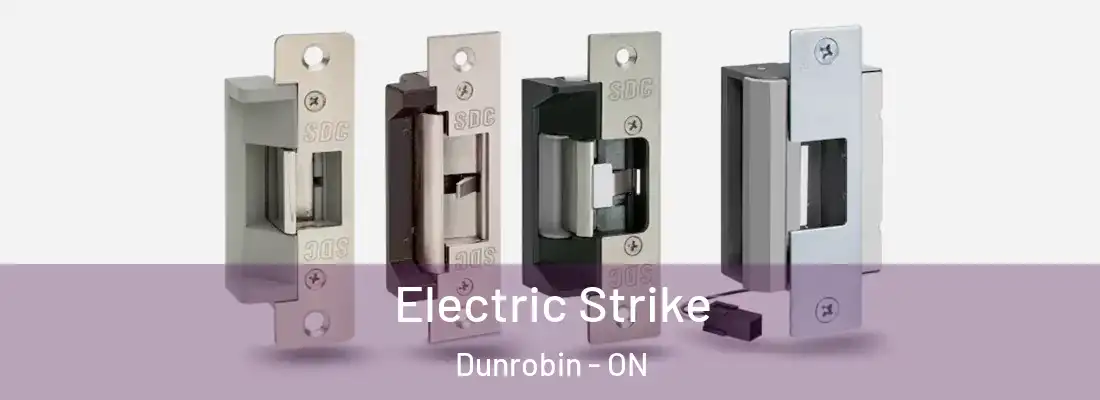  Electric Strike Dunrobin - ON
