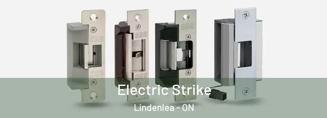  Electric Strike Lindenlea - ON