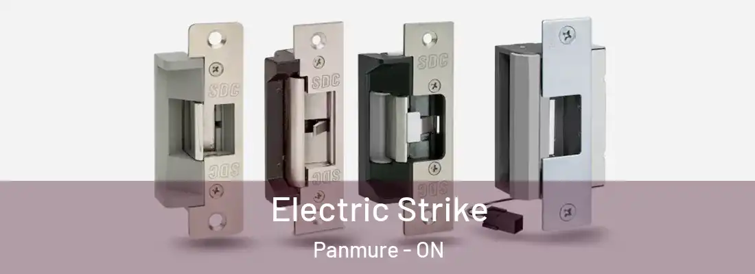  Electric Strike Panmure - ON
