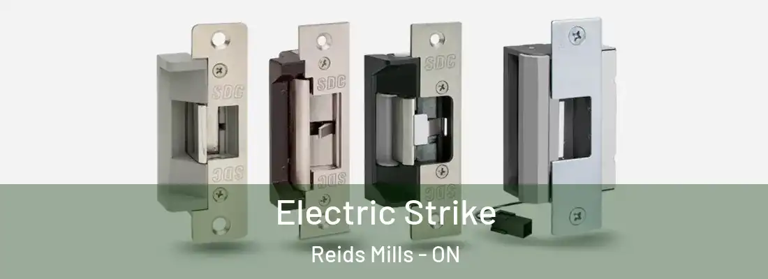  Electric Strike Reids Mills - ON