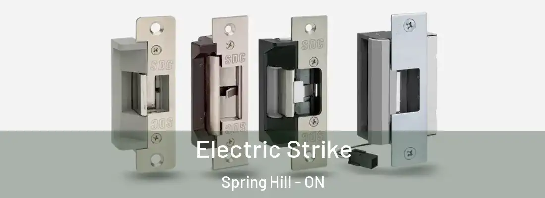  Electric Strike Spring Hill - ON