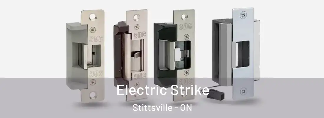  Electric Strike Stittsville - ON