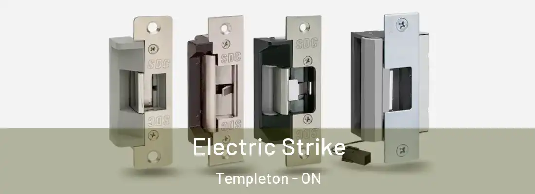  Electric Strike Templeton - ON