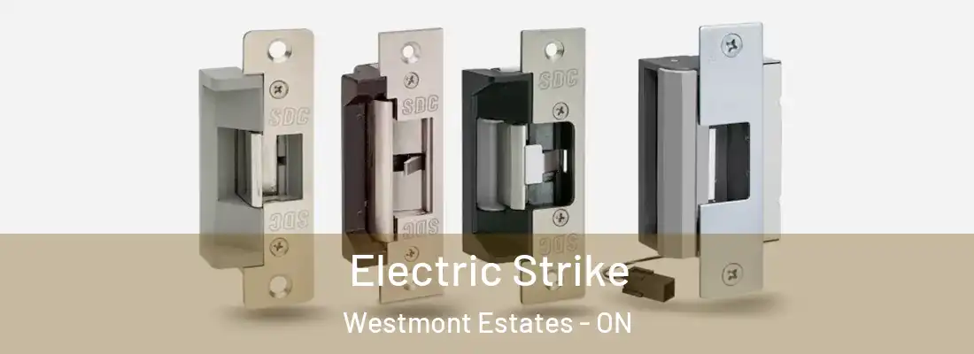  Electric Strike Westmont Estates - ON