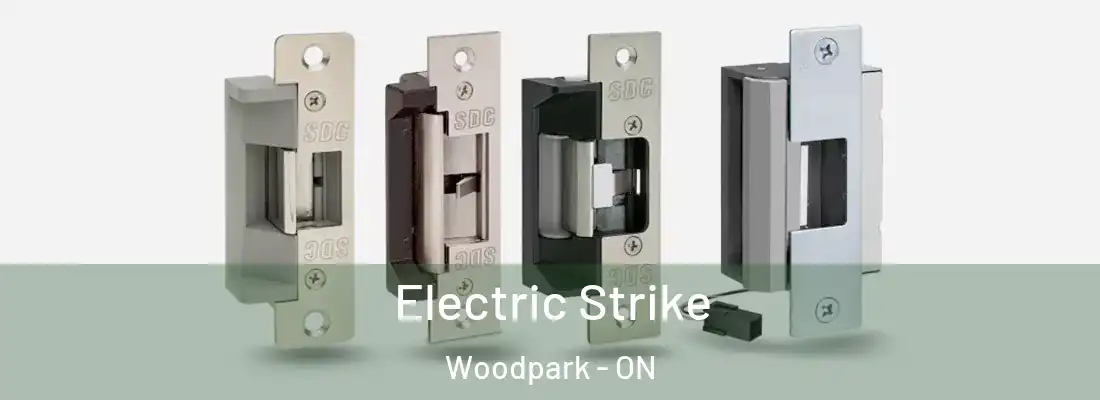  Electric Strike Woodpark - ON