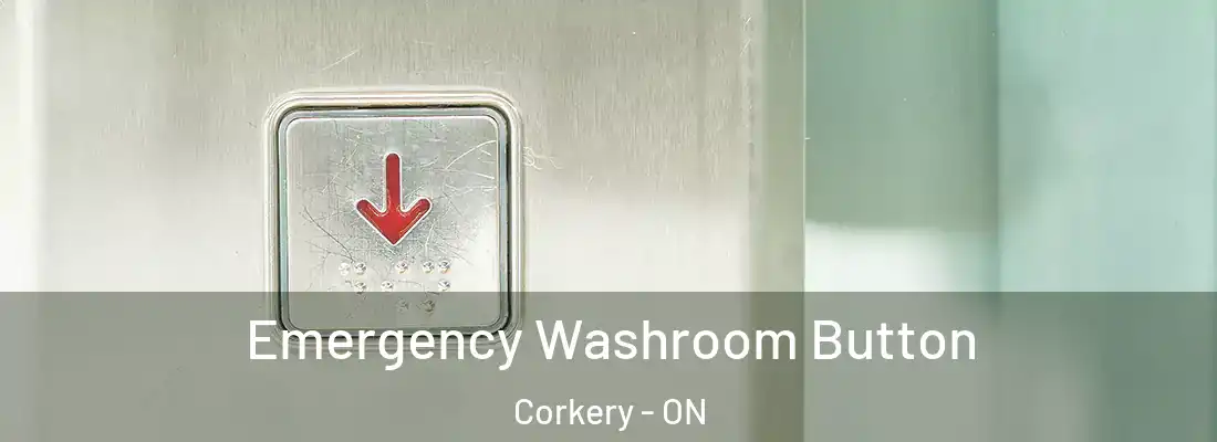  Emergency Washroom Button Corkery - ON