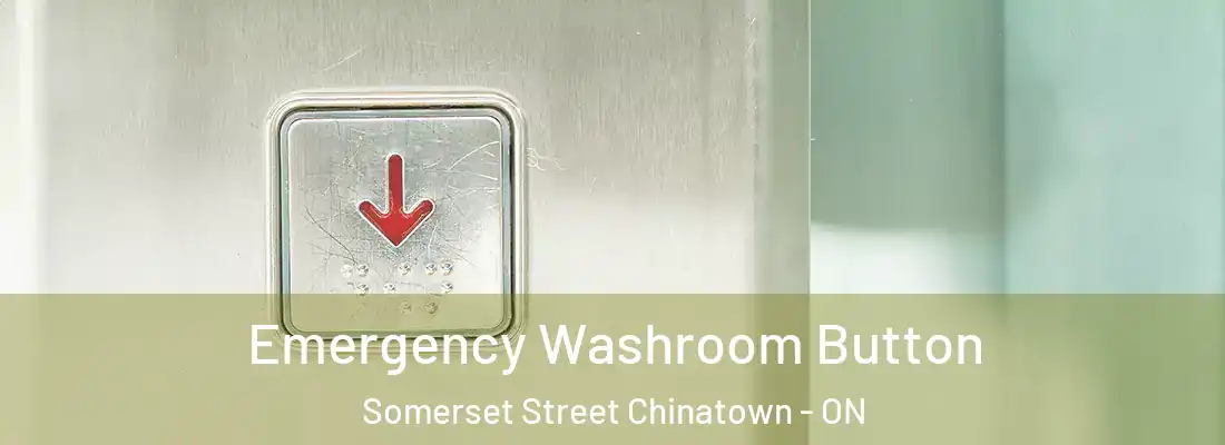  Emergency Washroom Button Somerset Street Chinatown - ON