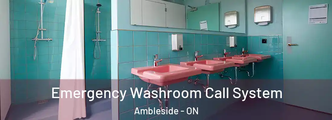  Emergency Washroom Call System Ambleside - ON