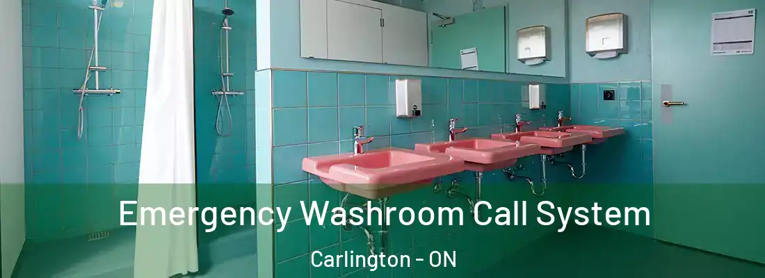  Emergency Washroom Call System Carlington - ON