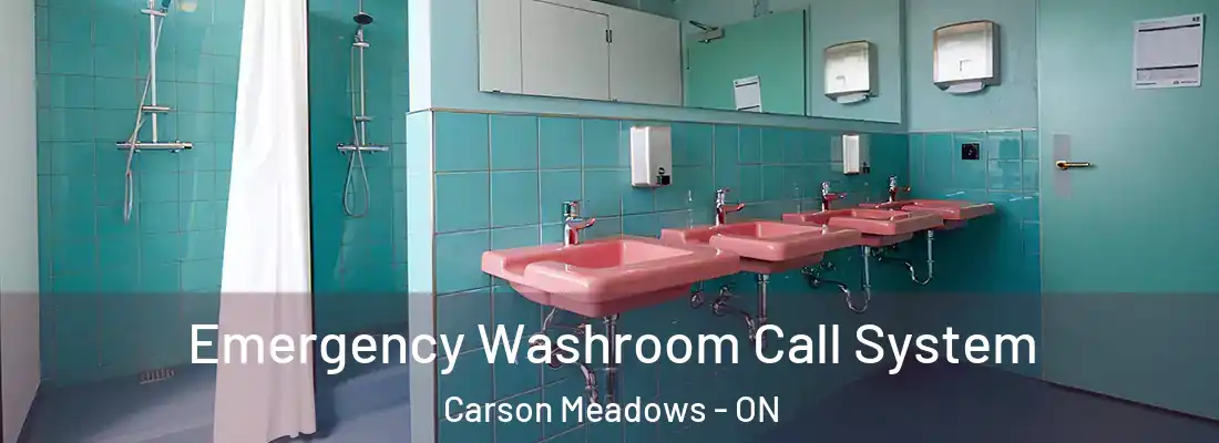  Emergency Washroom Call System Carson Meadows - ON