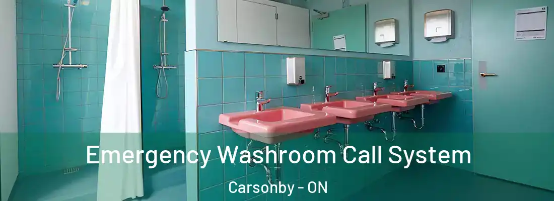  Emergency Washroom Call System Carsonby - ON