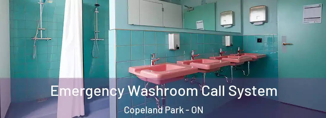  Emergency Washroom Call System Copeland Park - ON