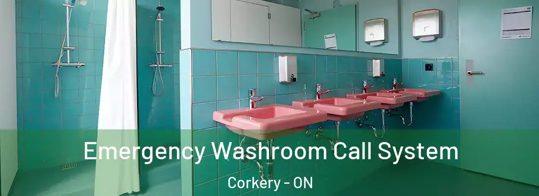  Emergency Washroom Call System Corkery - ON
