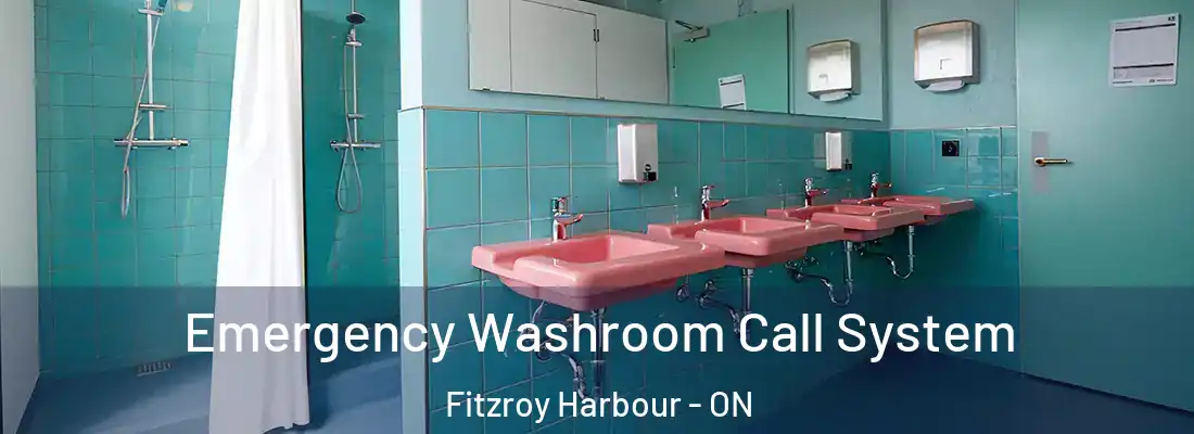  Emergency Washroom Call System Fitzroy Harbour - ON