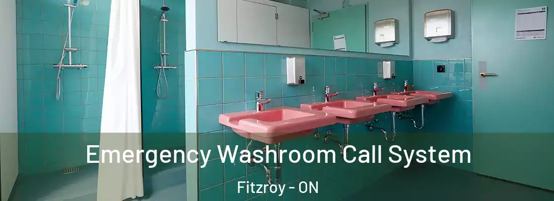  Emergency Washroom Call System Fitzroy - ON