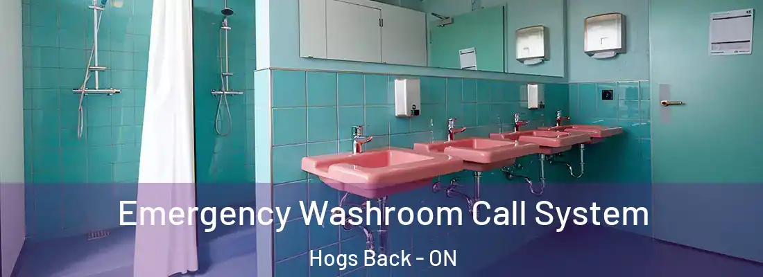  Emergency Washroom Call System Hogs Back - ON