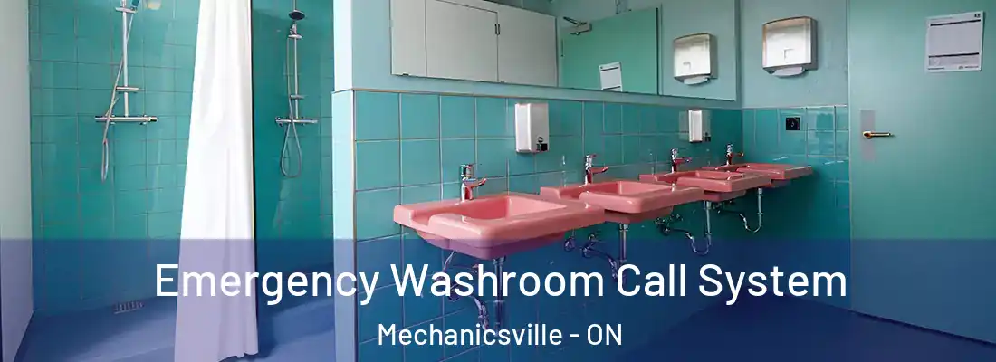  Emergency Washroom Call System Mechanicsville - ON