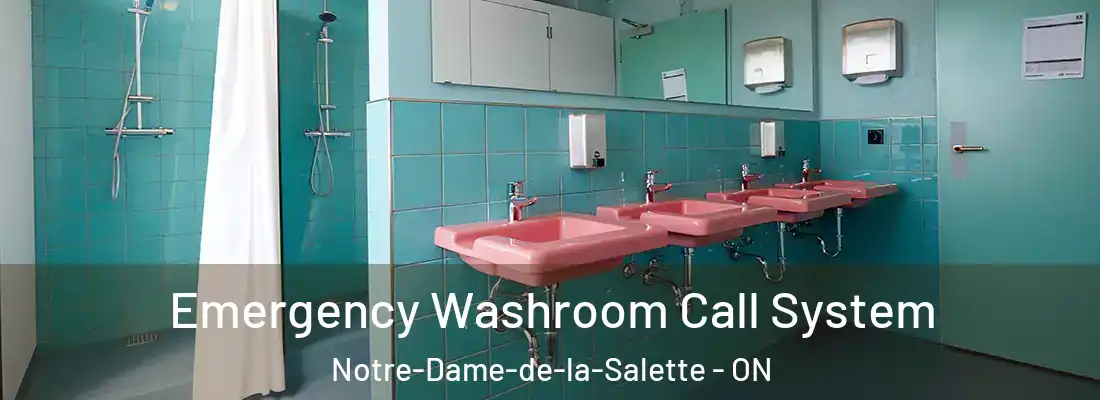  Emergency Washroom Call System Notre-Dame-de-la-Salette - ON