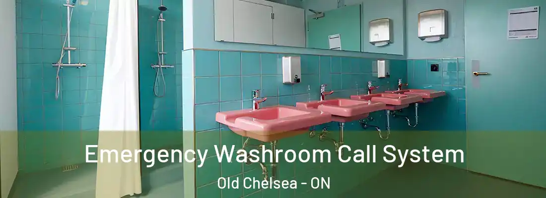  Emergency Washroom Call System Old Chelsea - ON