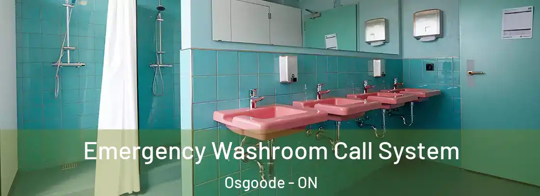  Emergency Washroom Call System Osgoode - ON