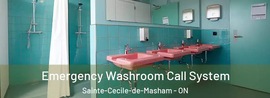  Emergency Washroom Call System Sainte-Cecile-de-Masham - ON
