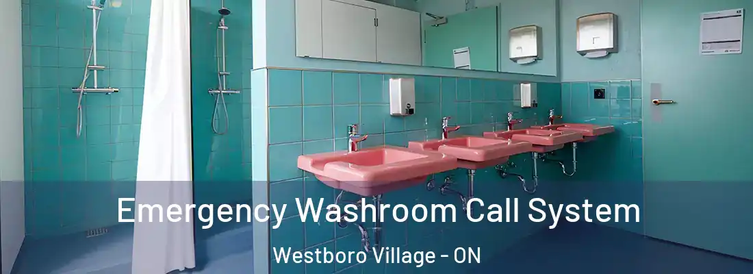  Emergency Washroom Call System Westboro Village - ON