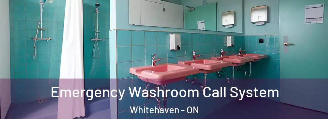  Emergency Washroom Call System Whitehaven - ON