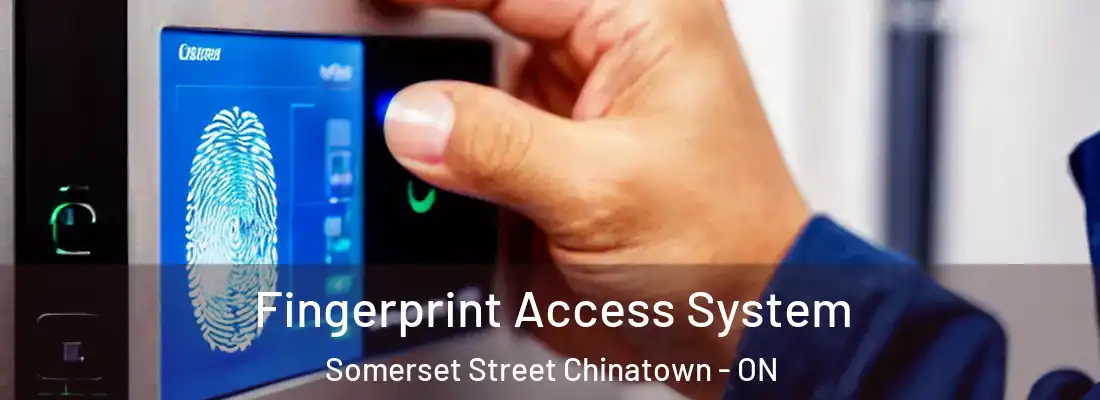 Fingerprint Access System Somerset Street Chinatown - ON