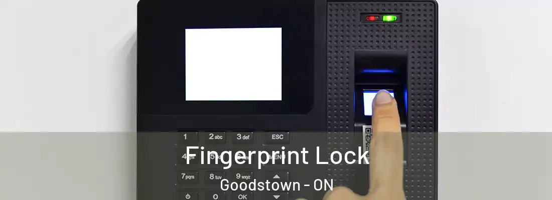  Fingerprint Lock Goodstown - ON