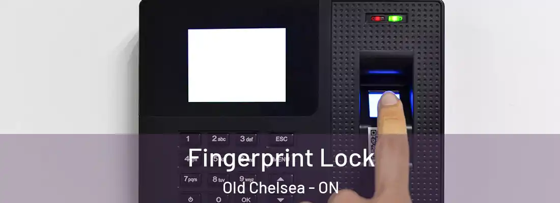  Fingerprint Lock Old Chelsea - ON