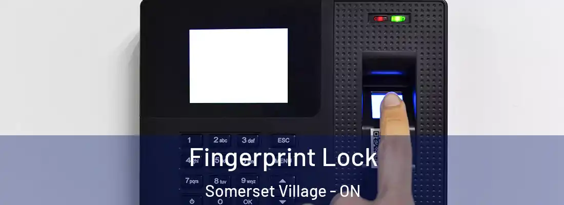  Fingerprint Lock Somerset Village - ON