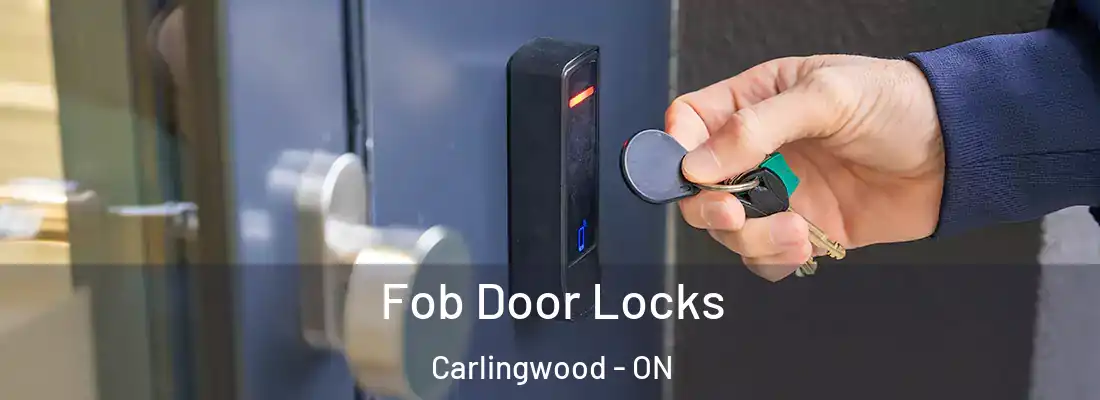  Fob Door Locks Carlingwood - ON