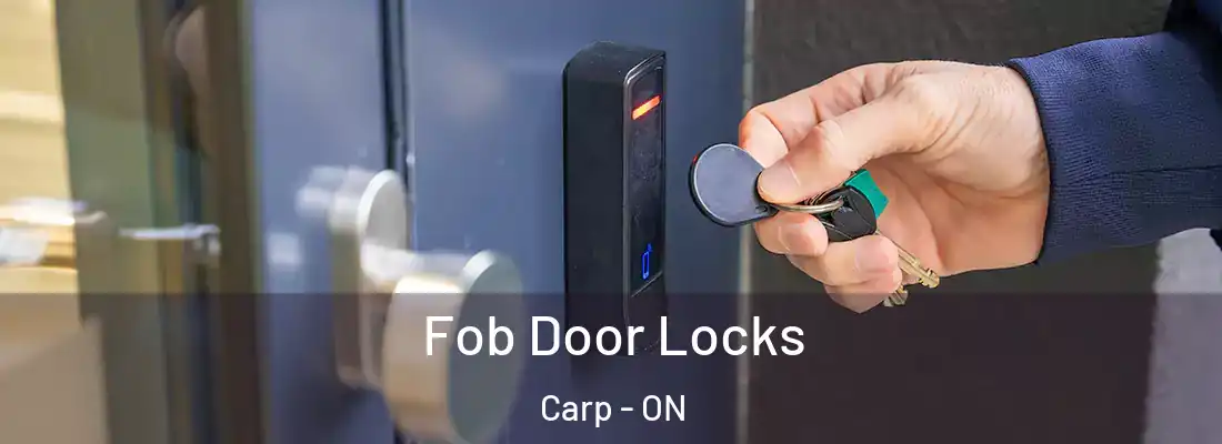  Fob Door Locks Carp - ON