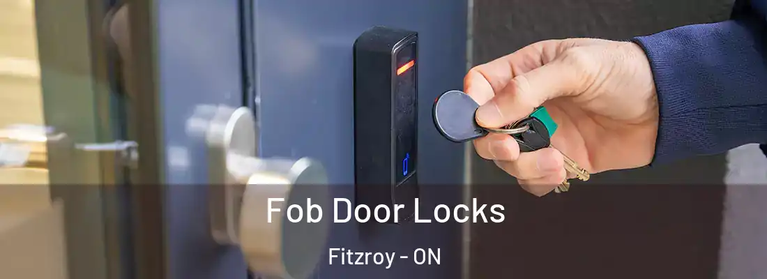  Fob Door Locks Fitzroy - ON