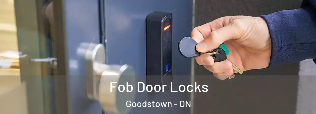  Fob Door Locks Goodstown - ON