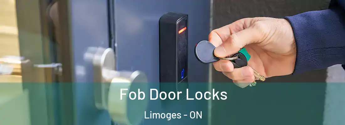  Fob Door Locks Limoges - ON