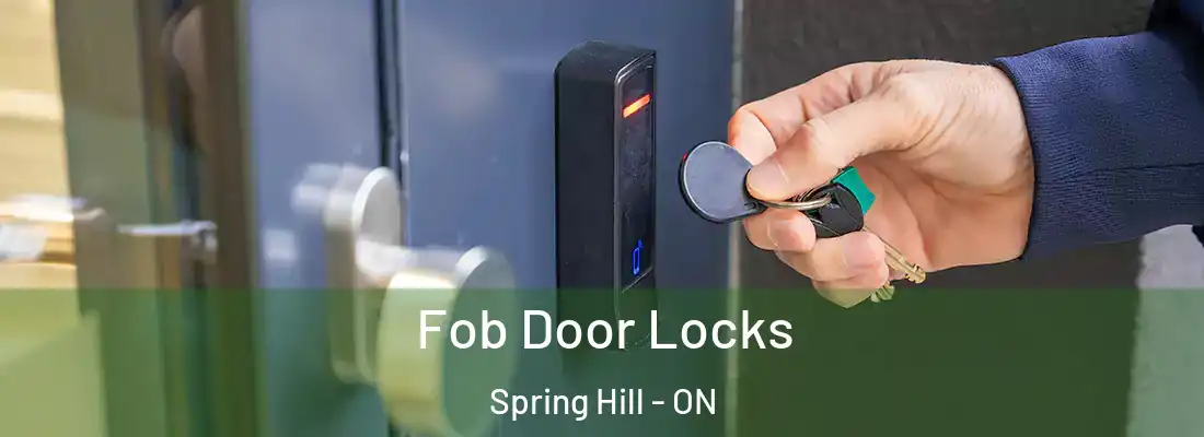  Fob Door Locks Spring Hill - ON