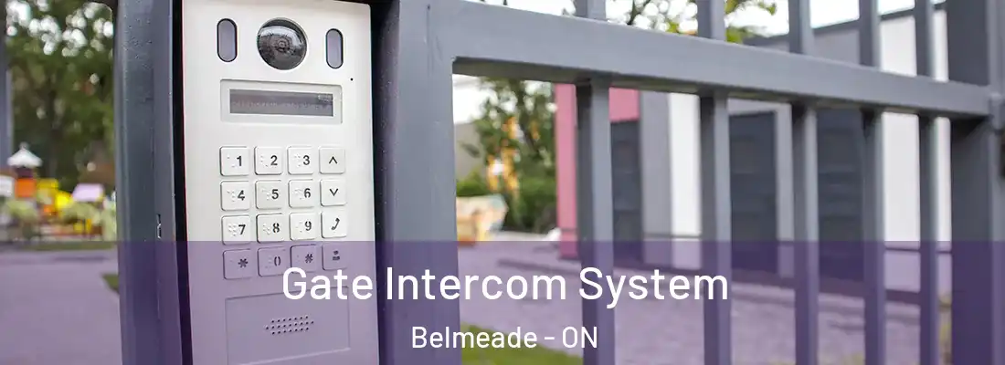  Gate Intercom System Belmeade - ON