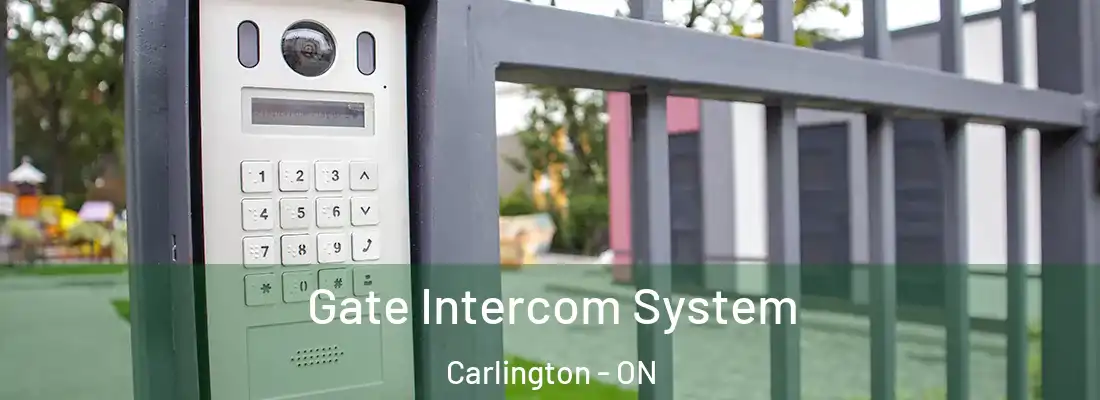 Gate Intercom System Carlington - ON