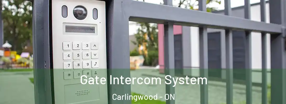  Gate Intercom System Carlingwood - ON