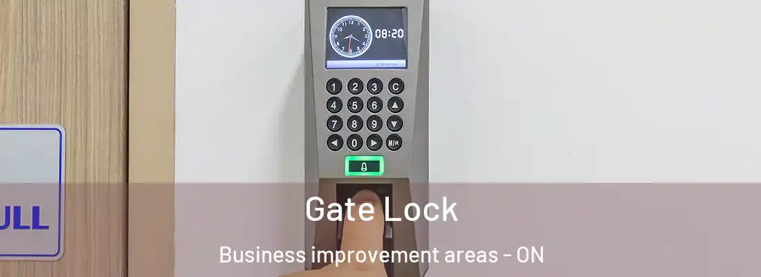  Gate Lock Business improvement areas - ON