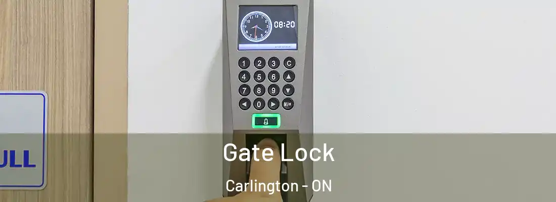 Gate Lock Carlington - ON
