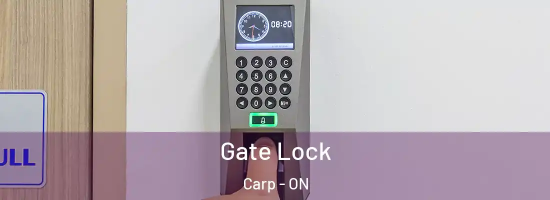  Gate Lock Carp - ON